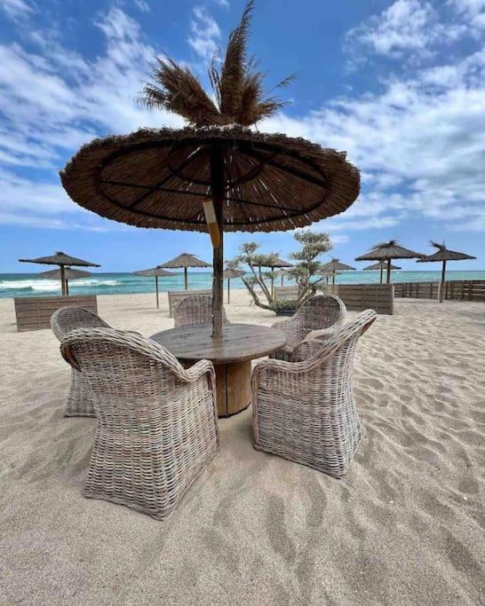 לאוקאט Les Voiles Blanches T2 Luxe A 100M De La Plage מראה חיצוני תמונה