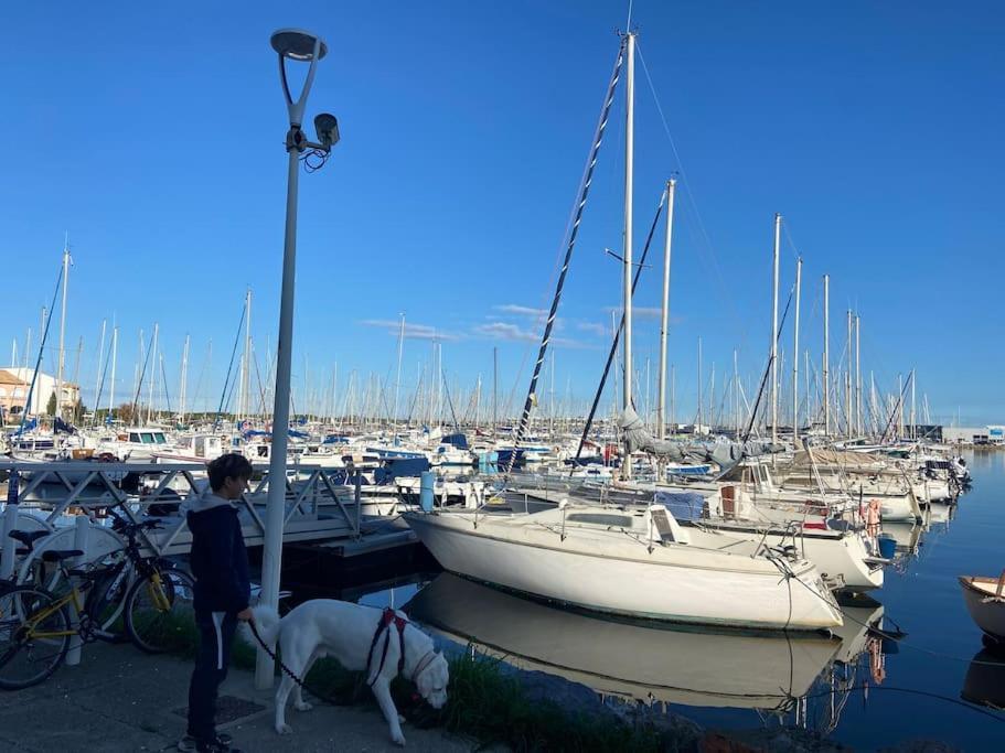 לאוקאט Les Voiles Blanches T2 Luxe A 100M De La Plage מראה חיצוני תמונה